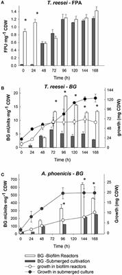 A Multispecies Fungal Biofilm Approach to Enhance the Celluloyltic Efficiency of Membrane Reactors for Consolidated Bioprocessing of Plant Biomass